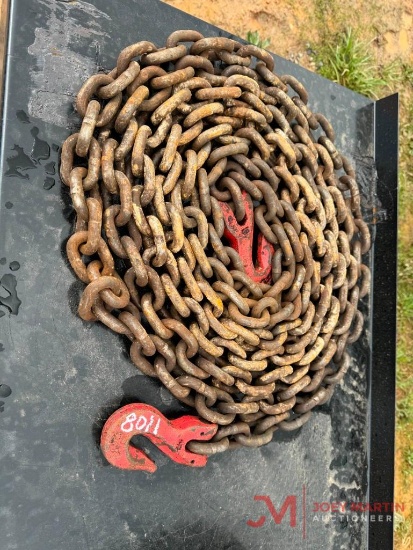 APPROXIMATELY 20' CHAIN WITH 2 HOOKS
