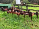 MAFFEY-FERGUSON 11 SHANK SPRING TOOTH HARROW