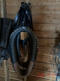 (2) COLLARS & REINS