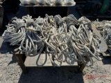 NUMEROUS SAFETY ROPES