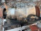 ALLISON 1000 SERIES TRUCK TRANSMISSION