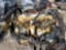 CAT 3126 210HP DIESEL ENGINE