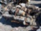 DIESEL ENGINE
