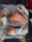 CONTENTS OF PALLET TRUCK PARTS