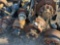 (3) REAR AXLES AND (1) FRONT AXLE