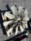 ENGINE FAN