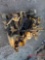CONTENTS OF PALLET VARIOUS TRUCK PARTS