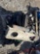 CONTENTS OF PALLET VARIOUS TRUCK PARTS