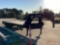 2025 DELTA 25' PLUS 5' FLATBED GOOSENECK TRAILER