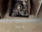CONTENTS OF (5) SHELVES