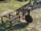 3PH 2ROW CULTIVATOR