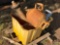 CONTENTS OF PALLET