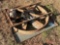 ELECTRIC VENT FAN