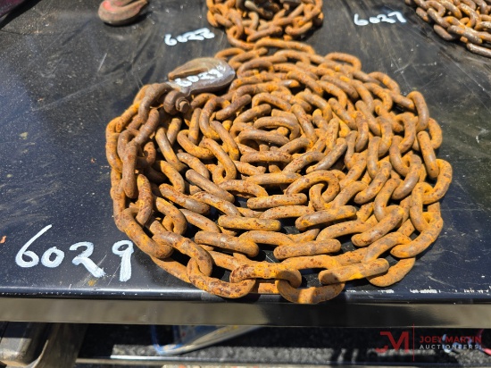 CHAIN W/ 1 HOOK