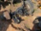 DUAL WHEEL SINGLE AXLE TRUCK REAR DIFFERENTIAL