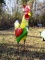 GREEN, YELLOW AND RED ROOSTER (LARGE)