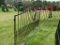 Entry Gates w/Post (Horse) Power Coated