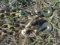 (9494)  3/8X18 Ft. Chains with Hook (2X$)