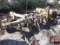 (2988) 4 Row Subsoiler/Bedder  3pt.