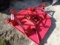 (2994) 5' Bush Hog Rotary Cutter