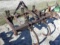 (4022) 5 Shank 3pt Chisel Plow
