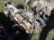 (4119) GM 8 Cylinder Gas Motor (Salvage)