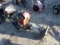 (4177) MS595 Walk Behind Compactor(Absolute)