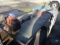 (4206) Echo Edger (Telescoping)(Absolute)