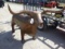(4348) Bull Grill