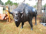 CAST BUFFALO BULL