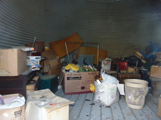 ALL CONTENTSOF GRAIN BIN,