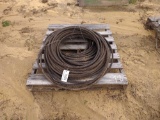 100FT 1IN CABLE