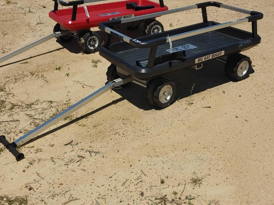 BIG KAT BUGGY