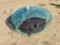 FIRE PIT