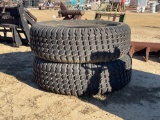 172 - 2 - 16.9 - 30 TRACTOR TIRES