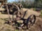 110 - DAIN SICKLE MOWER, ANTIQUE