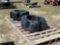 216 - 2 - 1,000 LB WEIGHTS,