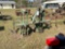 251 - 1 ROW JOHN DEERE ROLLING CULTIVATOR