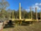 648 - 1986 LOG TRAILER,