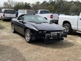 959 - 1995 CAMARO Z28