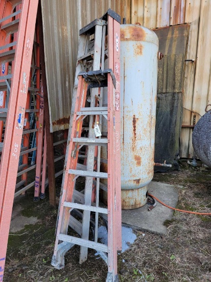3 - WERNER STEP LADDERS