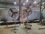 LOT OF STANDING FANS