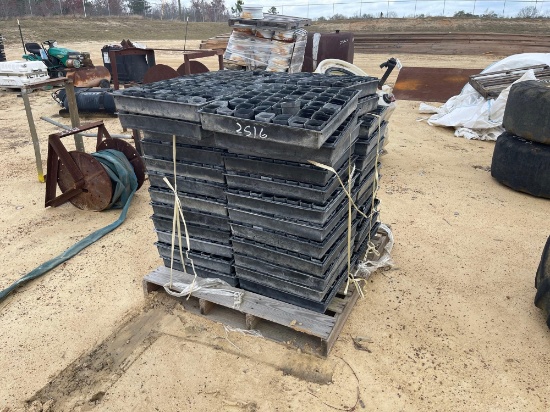 2516 - 48 - TRAYS OF SEEDLING CUPS