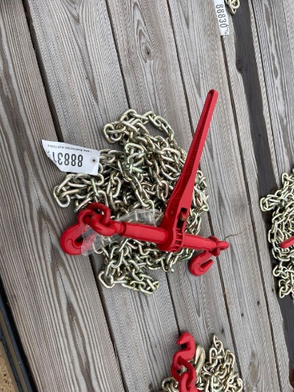 2146 - ABSOLUTE - 2 - 5/16" X 20' CHAINS
