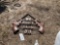 686 - ABSOLUTE - WE DONT CALL 911 SIGN
