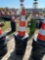 764 - ABSOLUTE - 25 SAFETY CONES