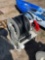 795 - ABSOLUTE- FUEL HOSE REEL HOSE, NOZZLE, METER