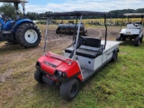 262 - ABSOLUTE - CLUB CAR CARRYALL-VI