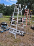 2569 - ALUMINUM LADDERS (2)