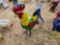 2255 - SMALL METAL ROOSTER